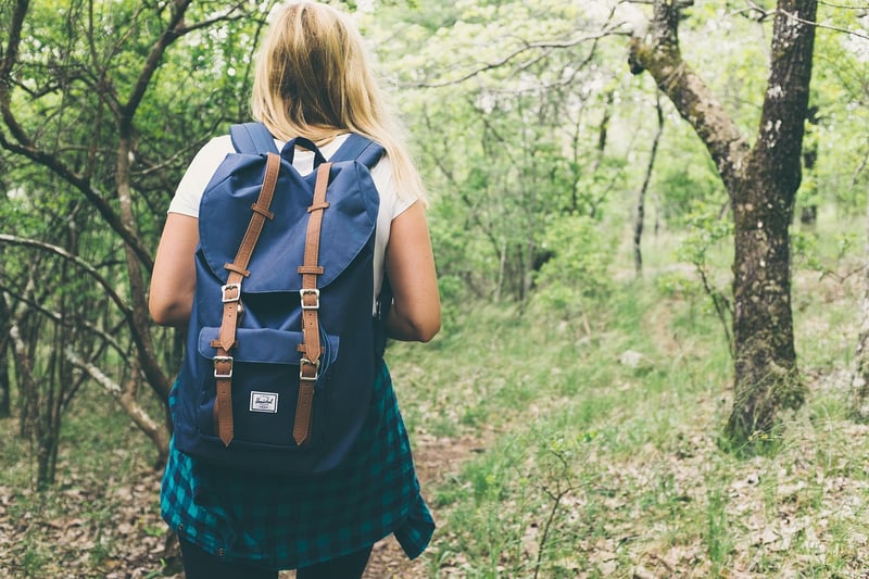 Forest Treks